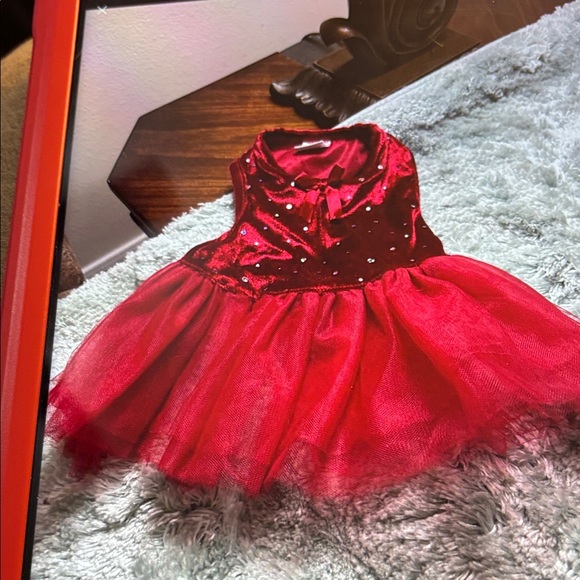 Sweetheart Dog Dress Set - Red and Pink - Picture 4 of 6